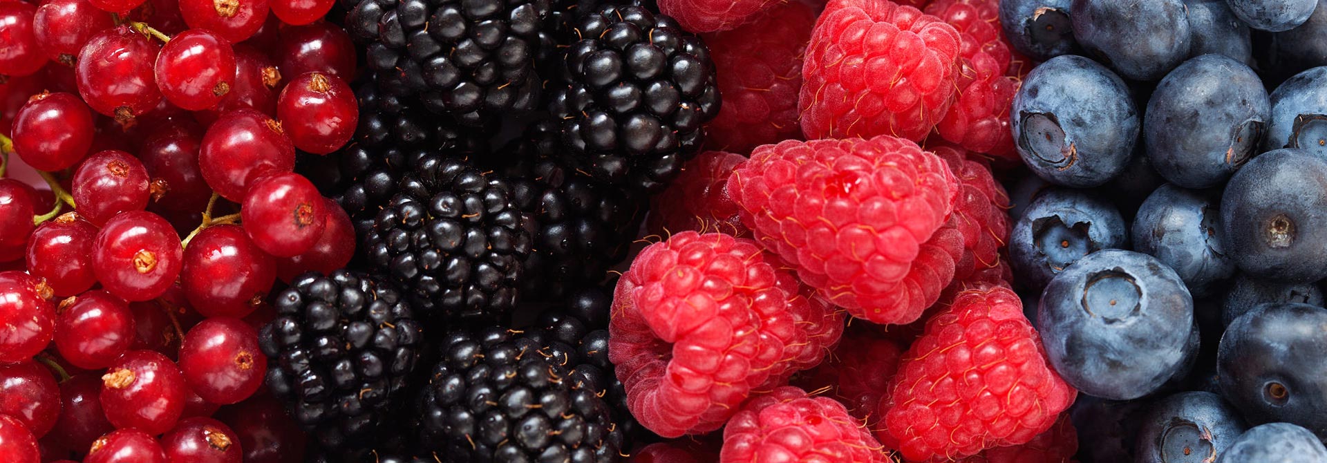 Raccolta piccoli frutti e laboratorio ‘Facciamo i Colori’