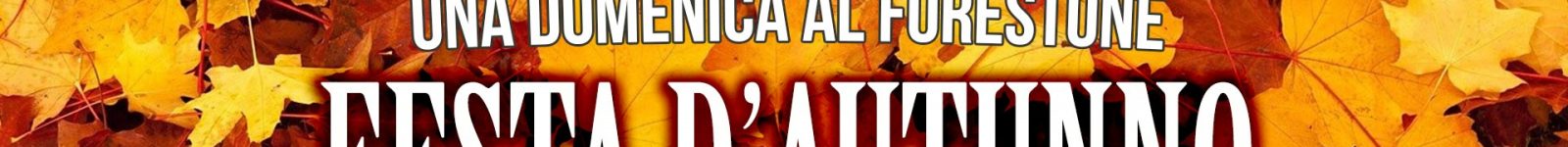 FESTA D’ AUTUNNO