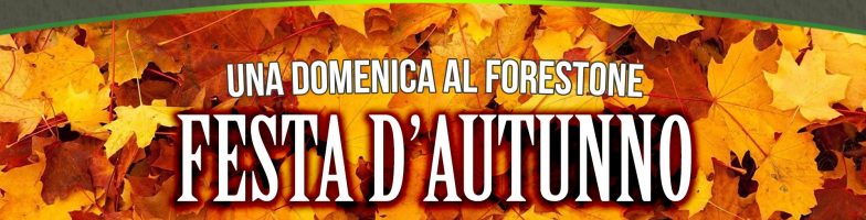 FESTA D’ AUTUNNO